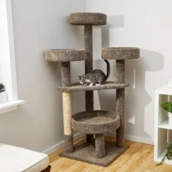 Frisco 65-in Real Carpet Scratch And Lounge Cat Tree