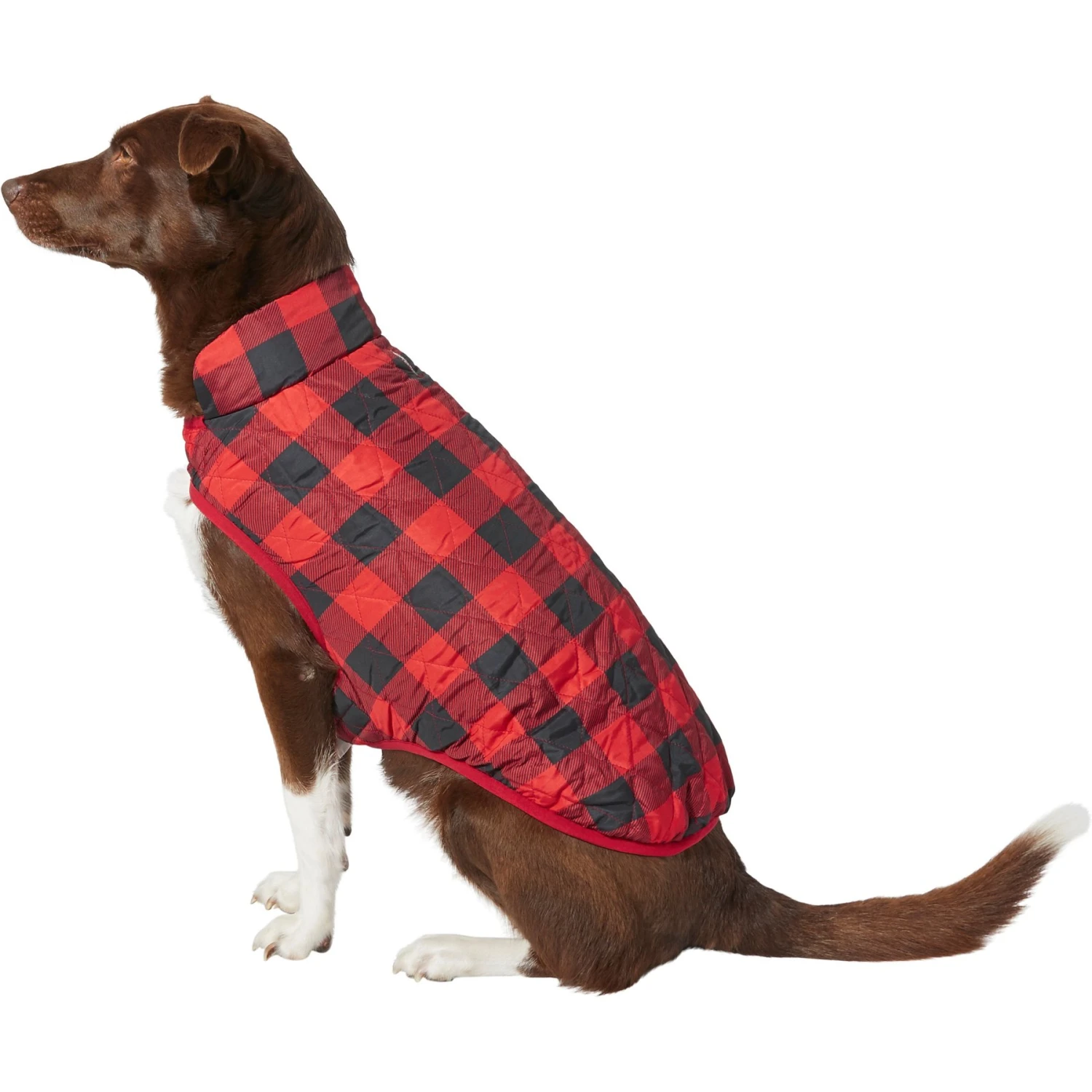 Frisco Quilted Water-Resistant Reversible Insulated Dog & Cat Jacket - Image 3