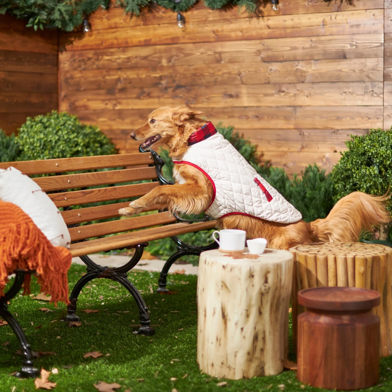 Frisco Quilted Water-Resistant Reversible Insulated Dog & Cat Jacket - Image 7