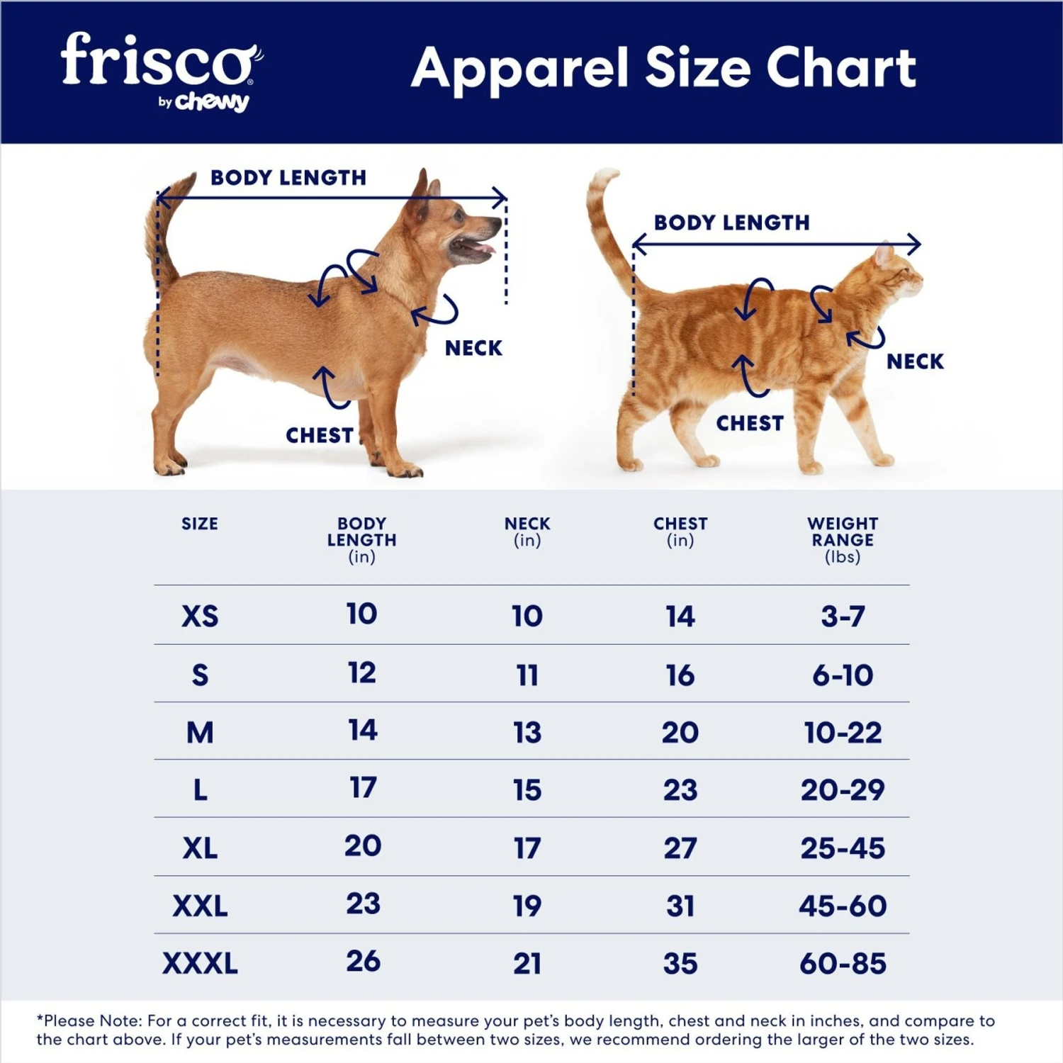 Frisco Cute & Sassy Dog & Cat Dress - Image 2