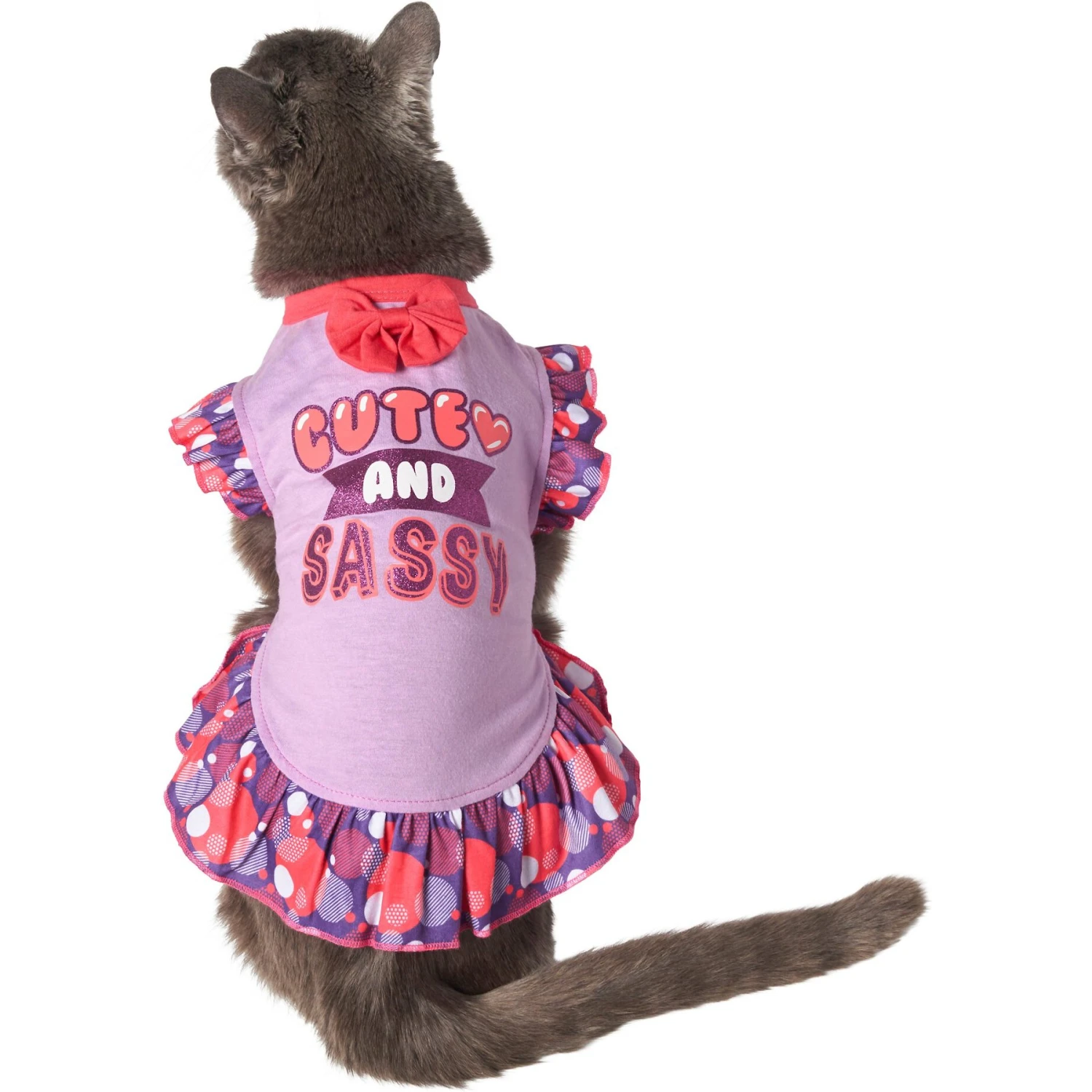 Frisco Cute & Sassy Dog & Cat Dress - Image 3