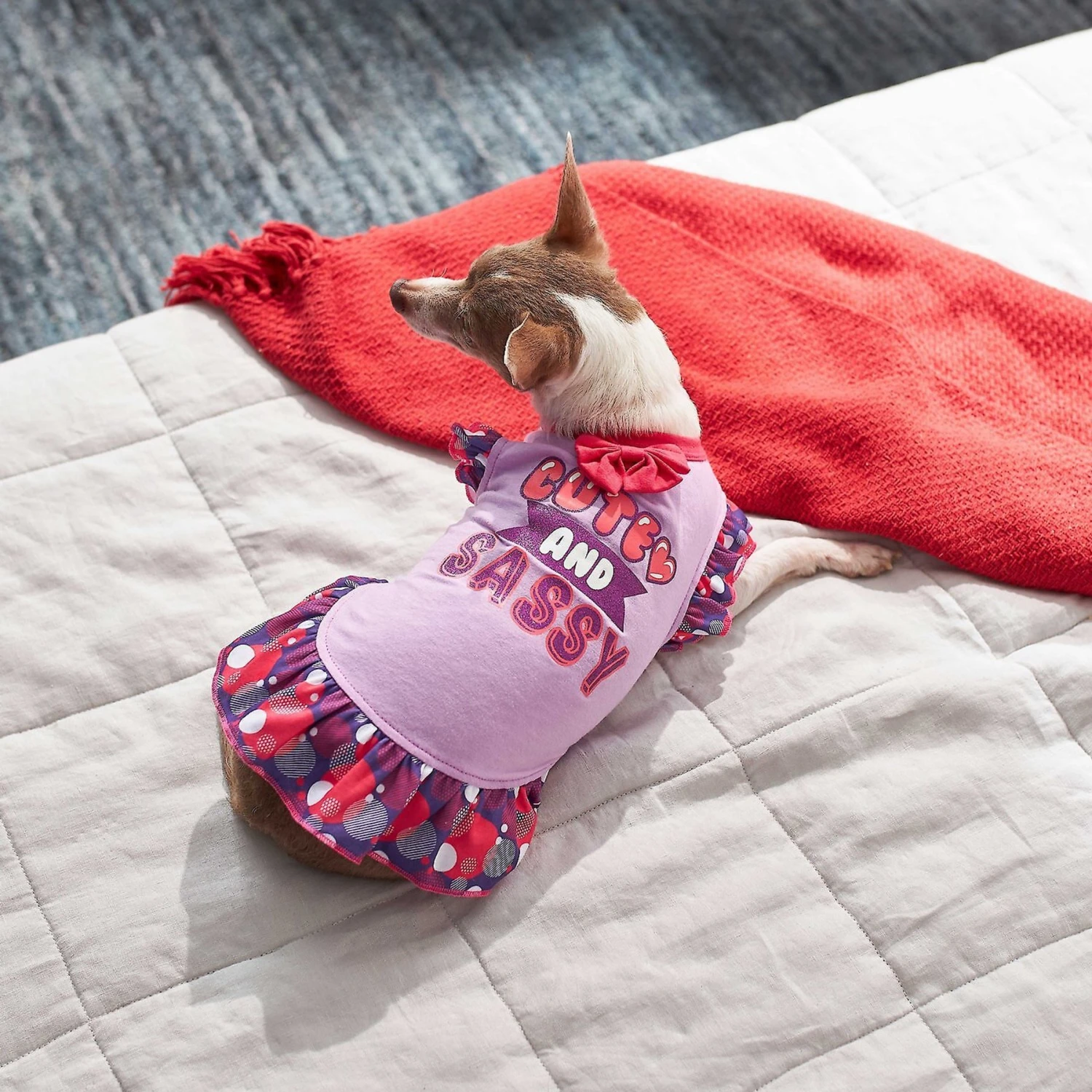 Frisco Cute & Sassy Dog & Cat Dress - Image 6