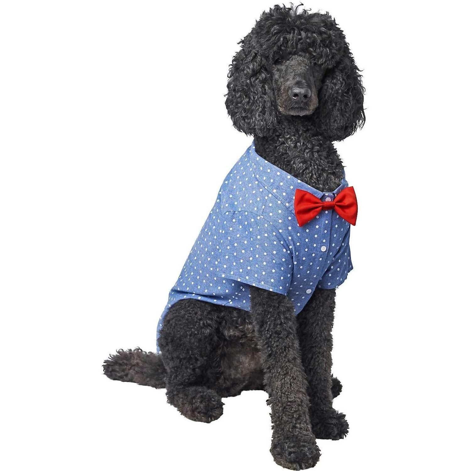 Frisco Polka Dot Chambray Dog & Cat Button Up Shirt - Image 4