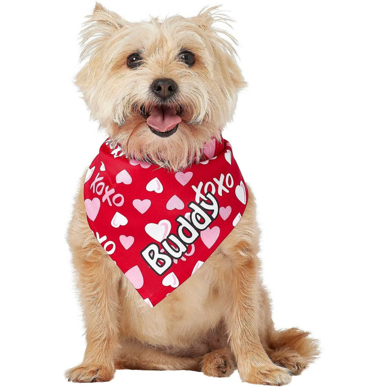 Frisco XOXO Hearts Personalized Dog & Cat Bandana - Image 7