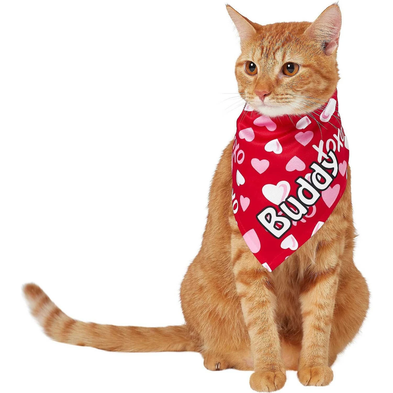 Frisco XOXO Hearts Personalized Dog & Cat Bandana - Image 8