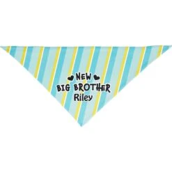 Frisco Big Brother Personalized Dog & Cat Bandana