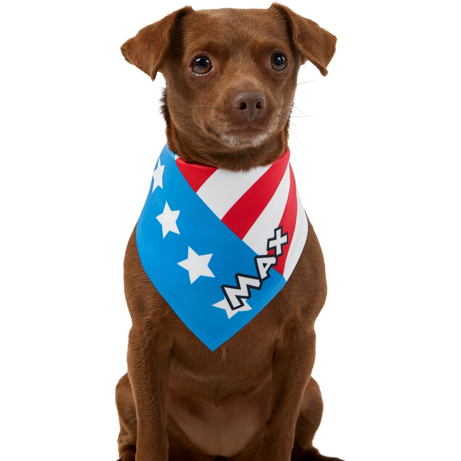 Frisco Americana Personalized Dog & Cat Bandana - Image 7