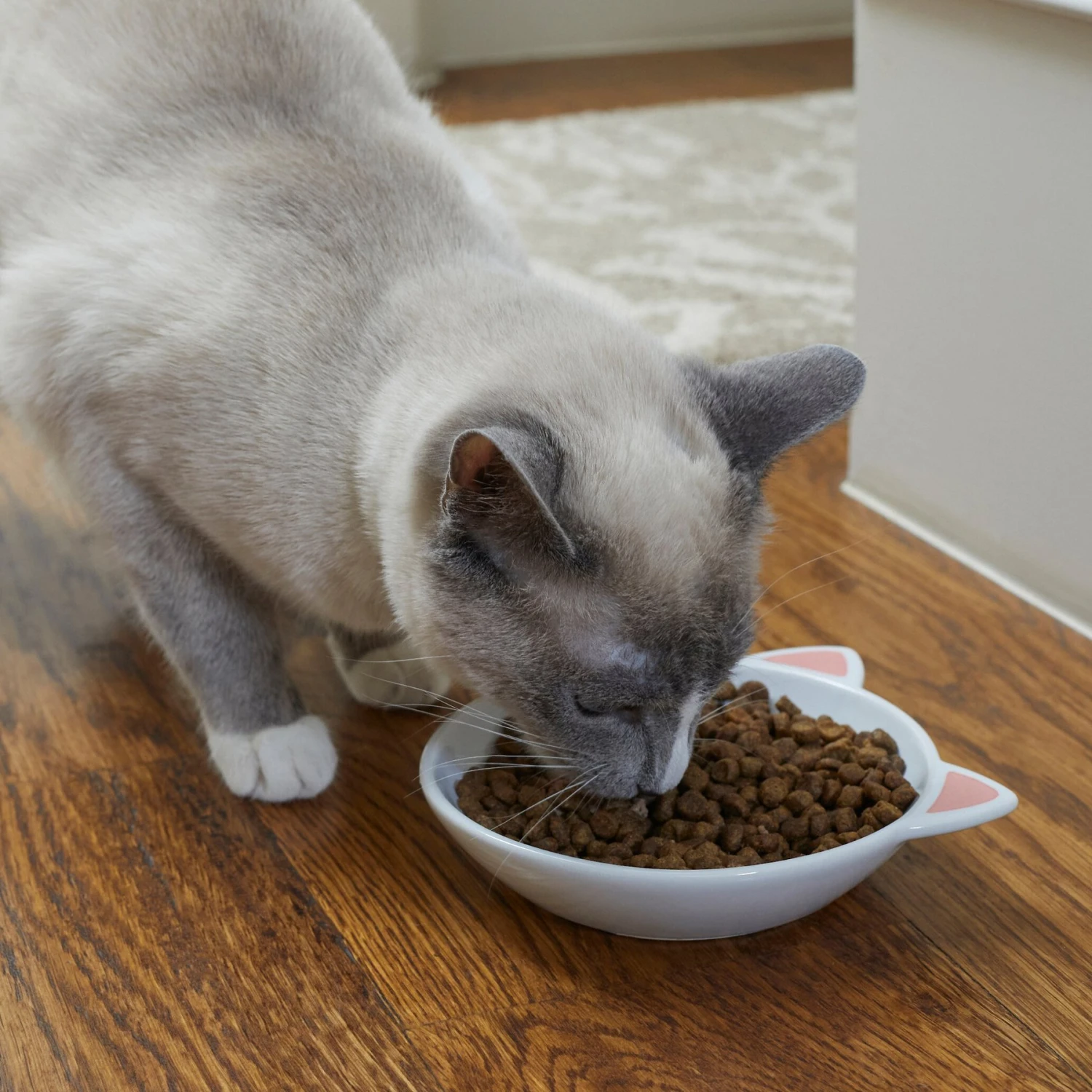 Frisco Cat Face Non-skid Ceramic Cat Dish - Image 3