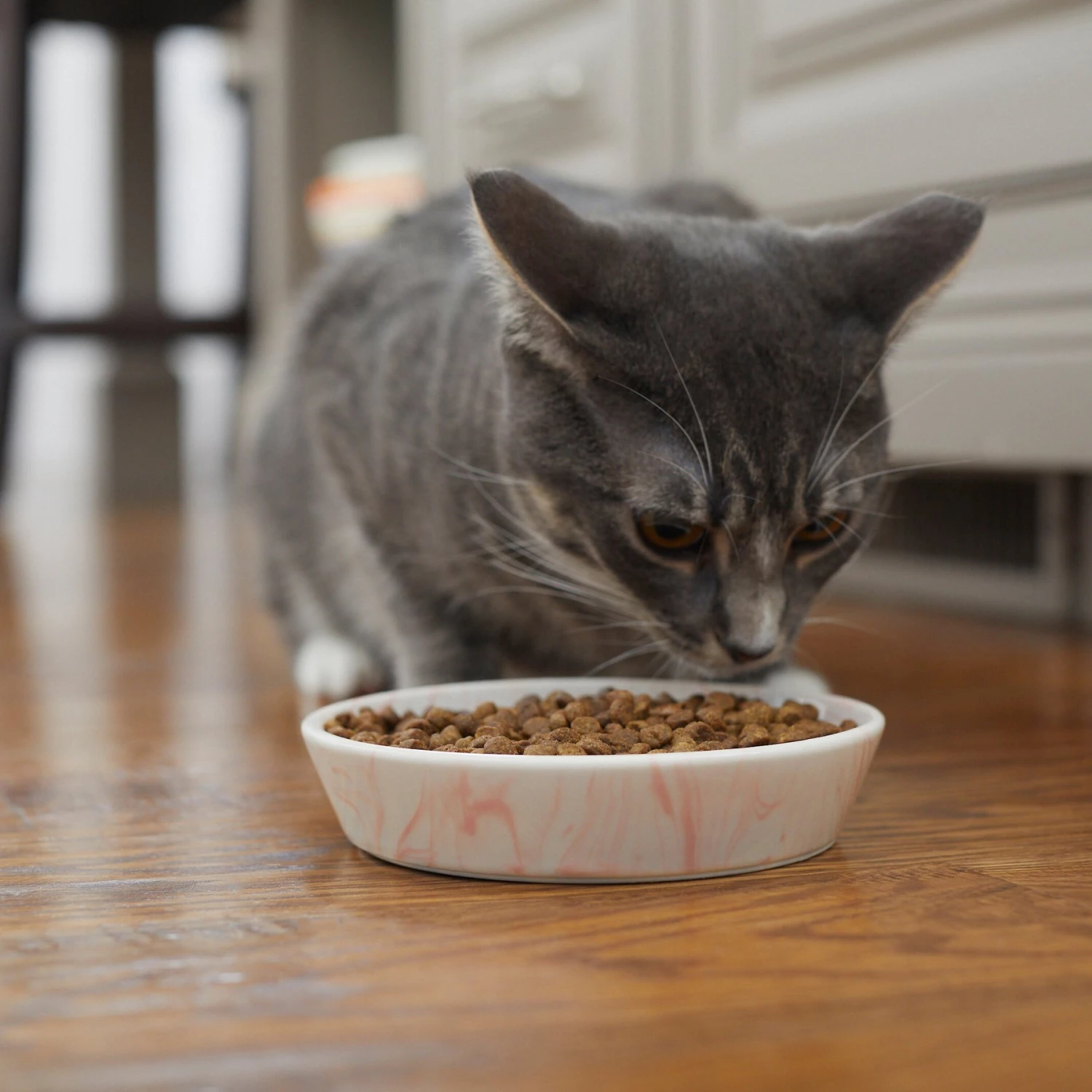 Frisco Marble Design Non-skid Ceramic Cat Bowl - Image 6