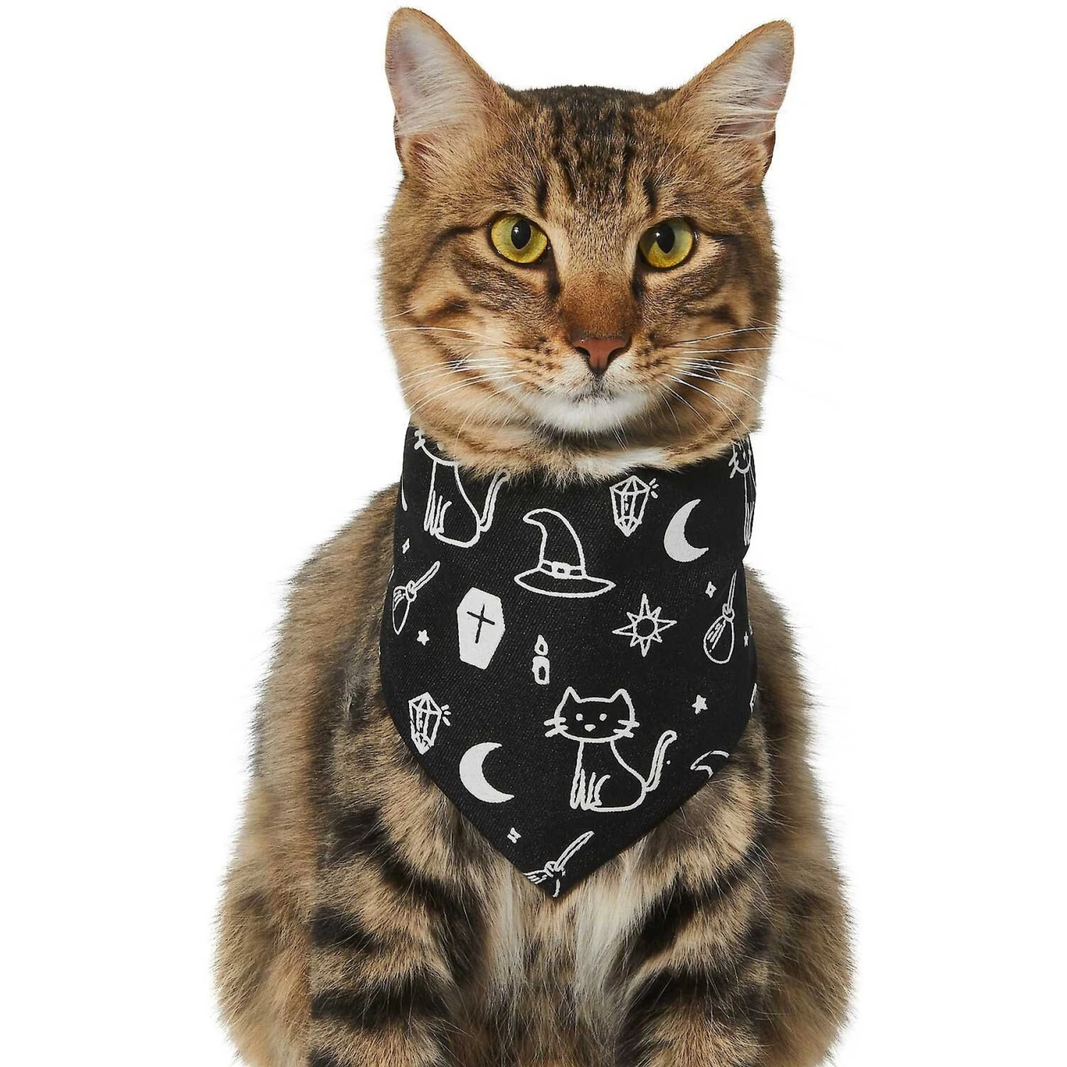 Frisco Glow In The Dark Mystical Print Dog & Cat Bandana - Image 3
