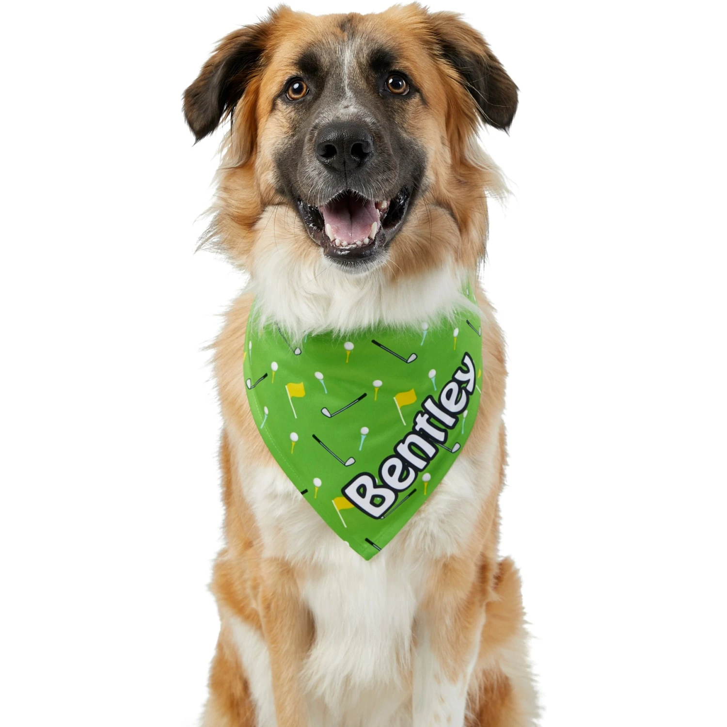 Frisco Golf Personalized Dog & Cat Bandana - Image 7