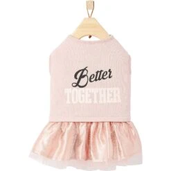 Frisco Better Together Dog & Cat Dress