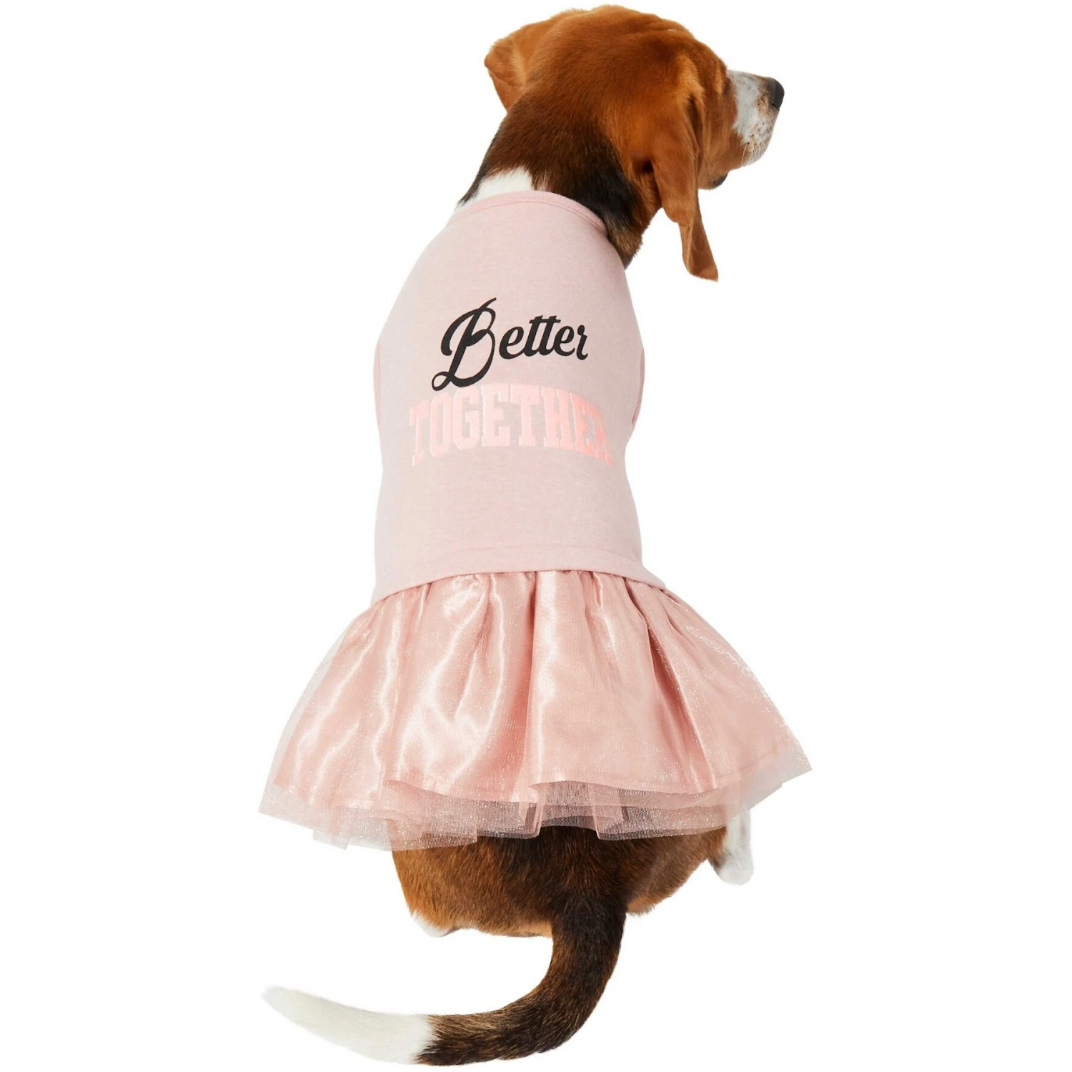 Frisco Better Together Dog & Cat Dress - Image 3