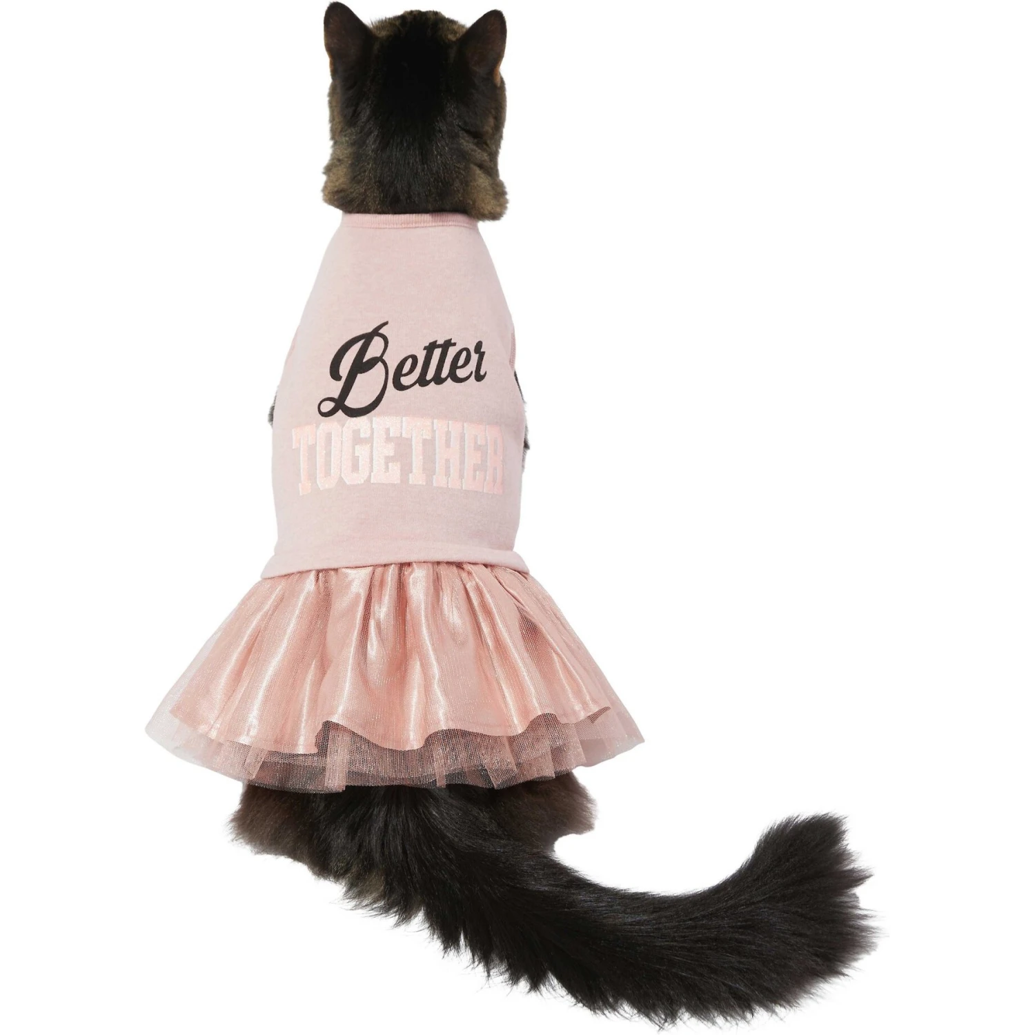 Frisco Better Together Dog & Cat Dress - Image 4