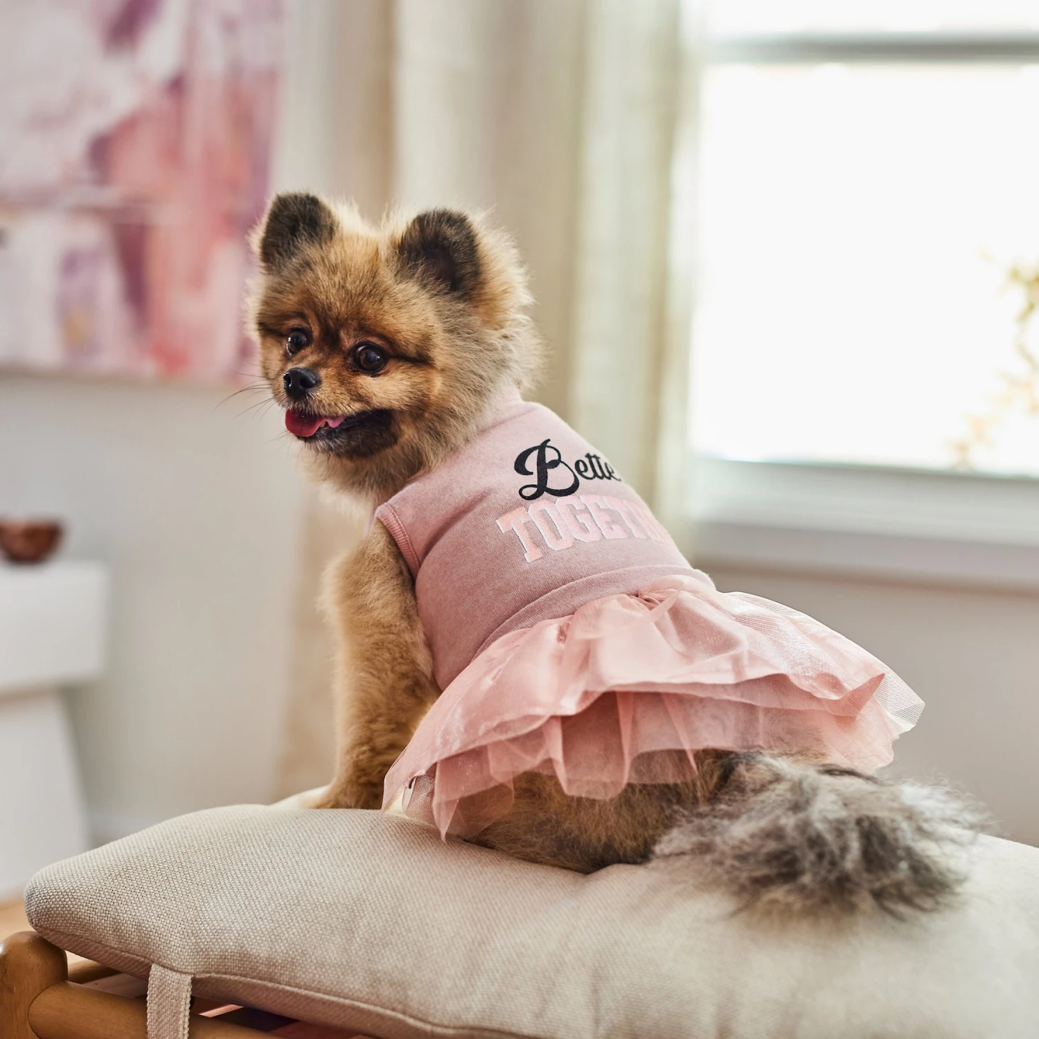 Frisco Better Together Dog & Cat Dress - Image 7