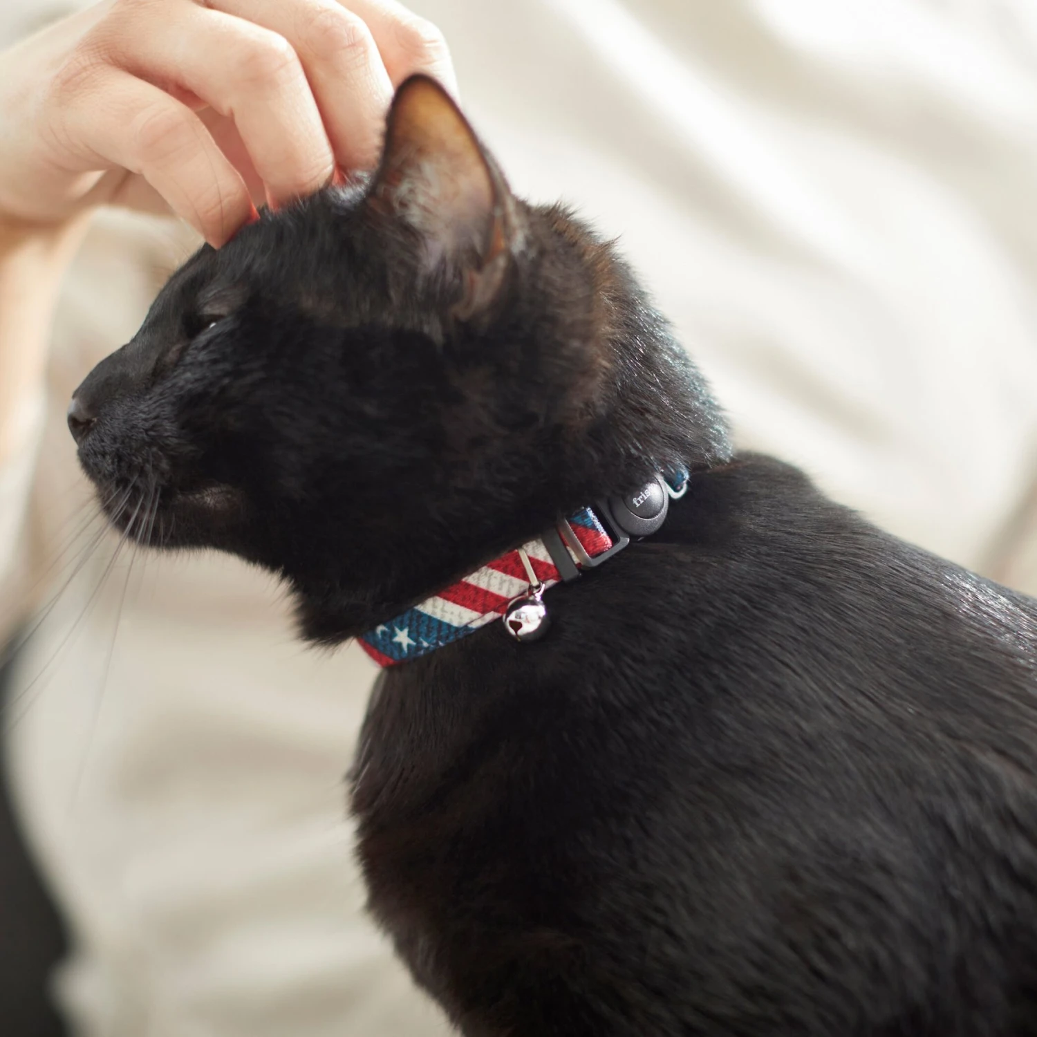 American Flag Cat Collar - Image 4