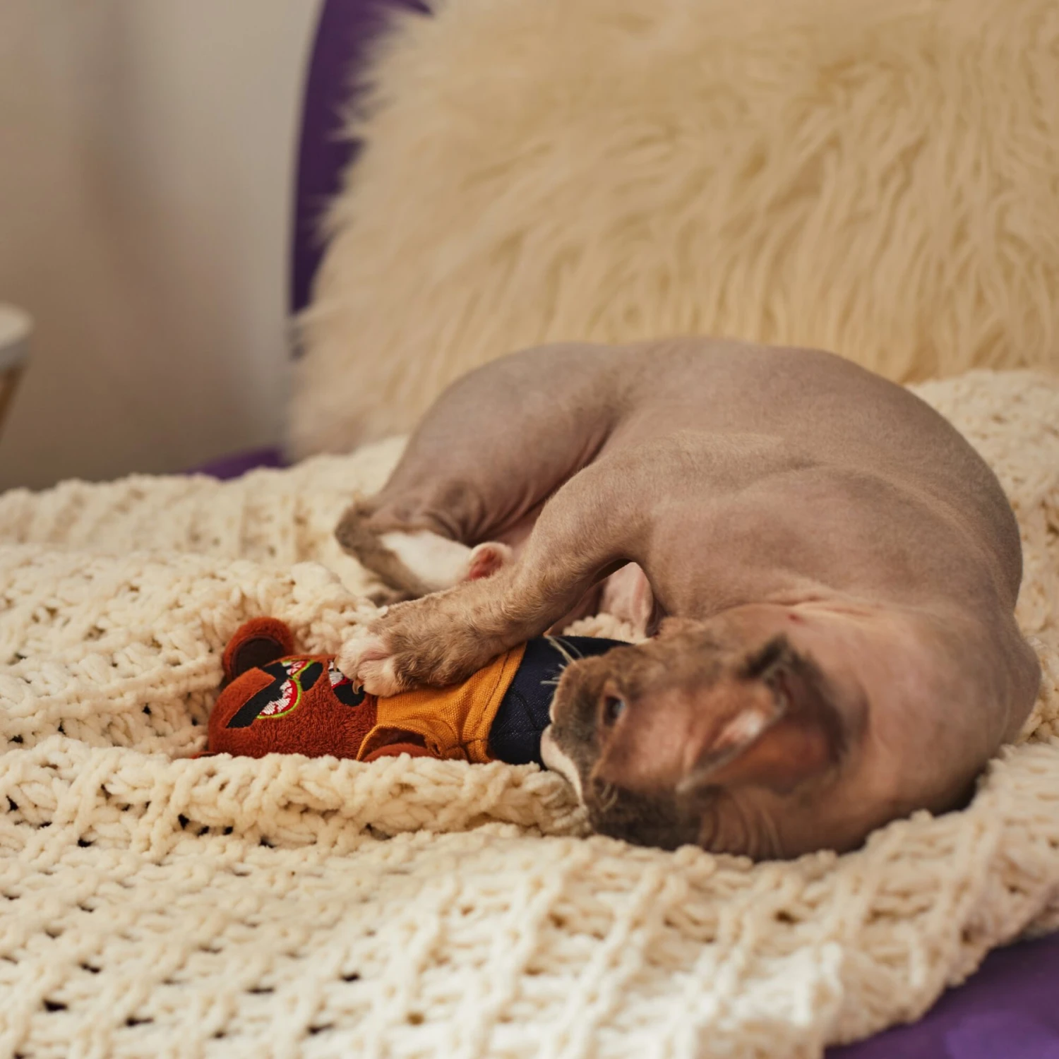 Frisco Halloween Good Bear, Bad Bear Reversible Plush Cat Toy With Catnip - Image 4