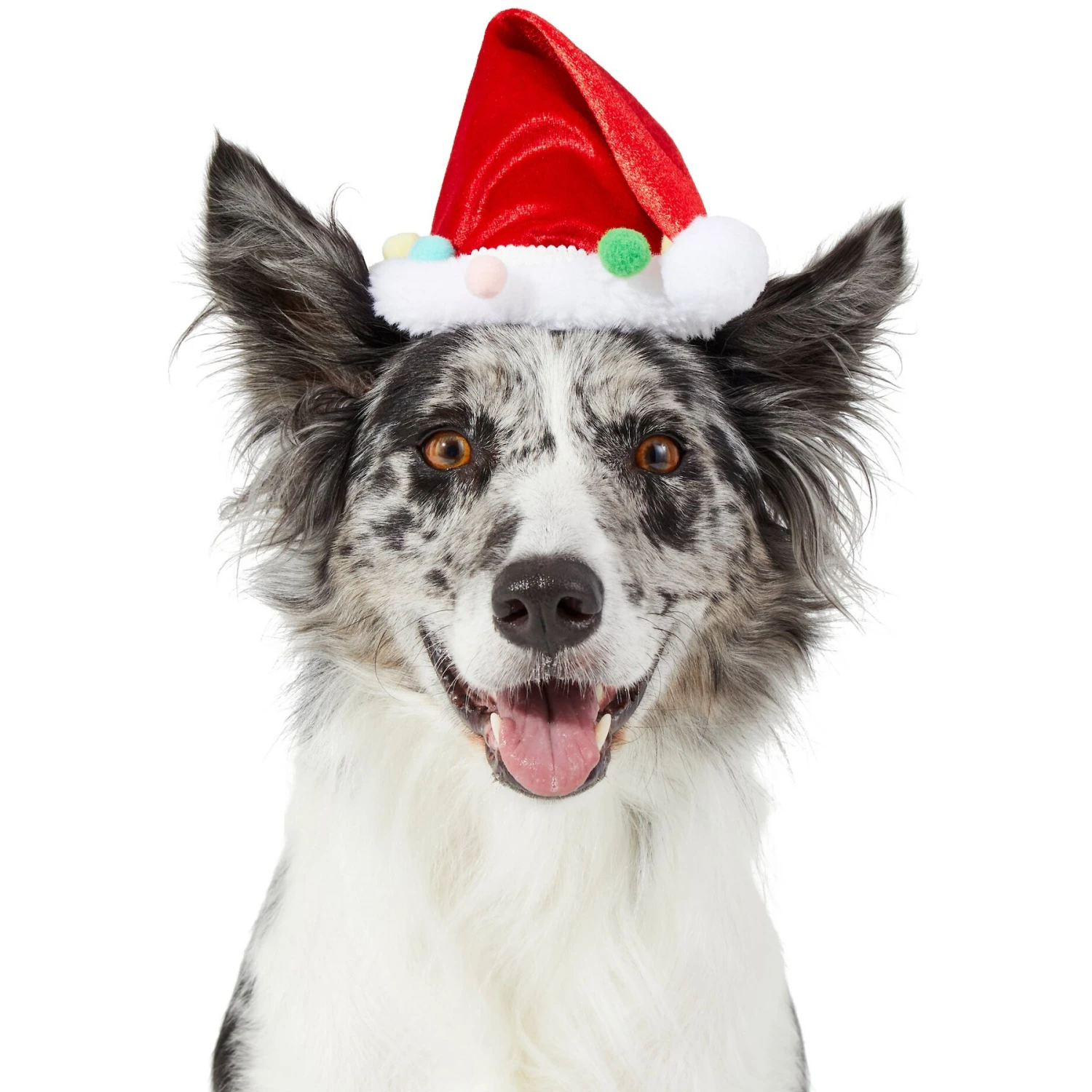 Frisco Holiday Poms Dog & Cat Santa Hat - Image 3