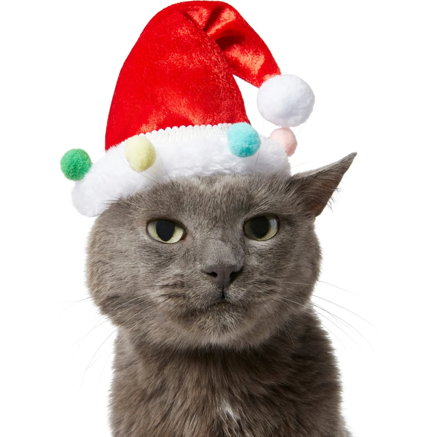 Frisco Holiday Poms Dog & Cat Santa Hat - Image 4