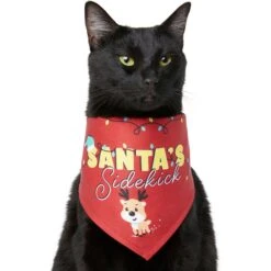 Frisco Santa's Sidekick Dog & Cat Bandana