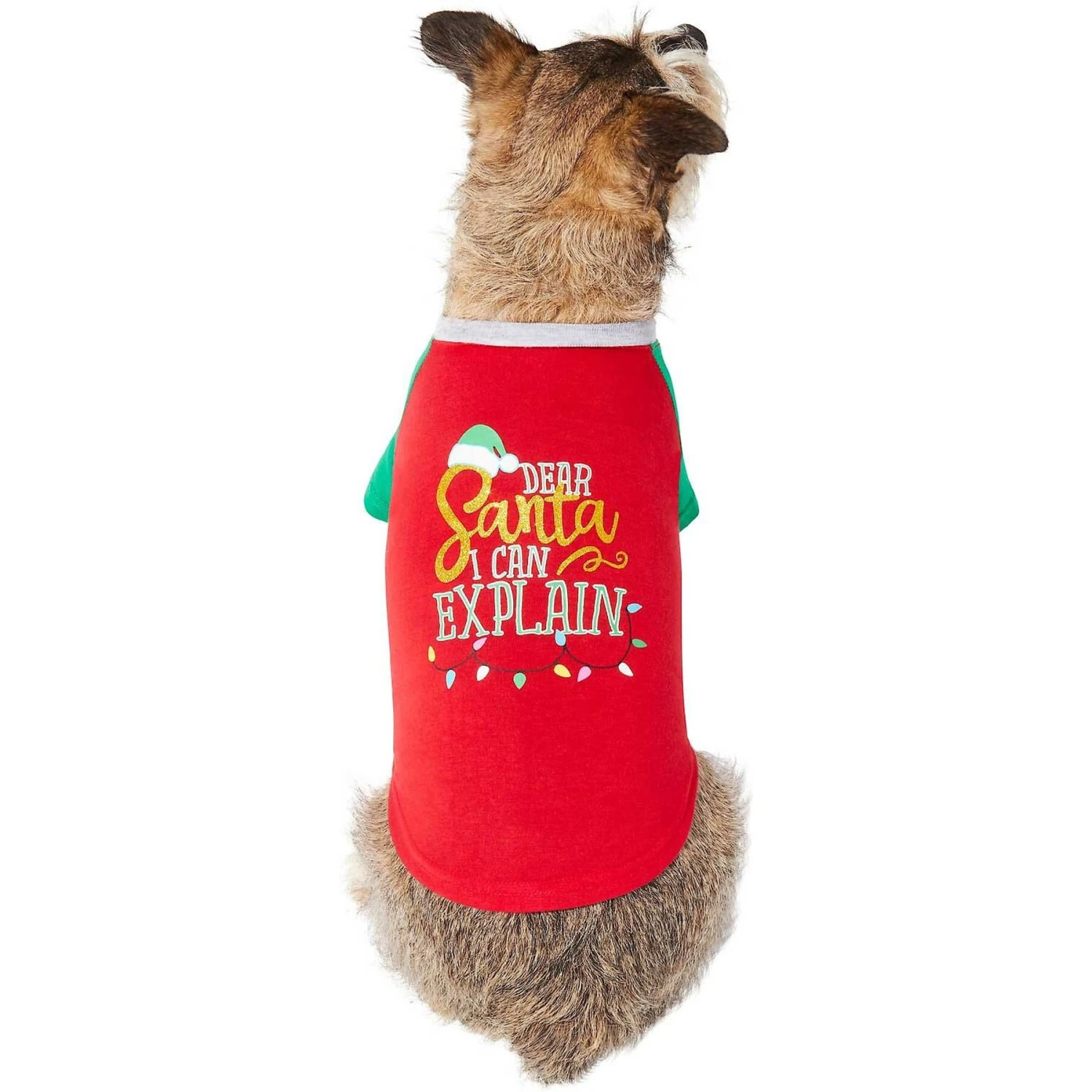 Frisco Santa I Can Explain Dog & Cat T-shirt - Image 4