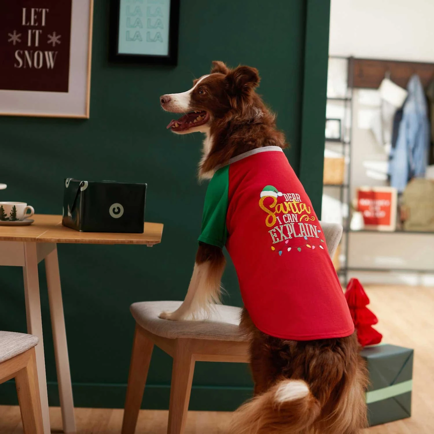 Frisco Santa I Can Explain Dog & Cat T-shirt - Image 6