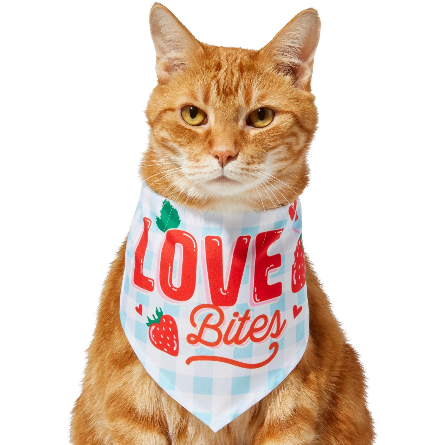 Frisco Love Bites Dog & Cat Bandana - Image 3