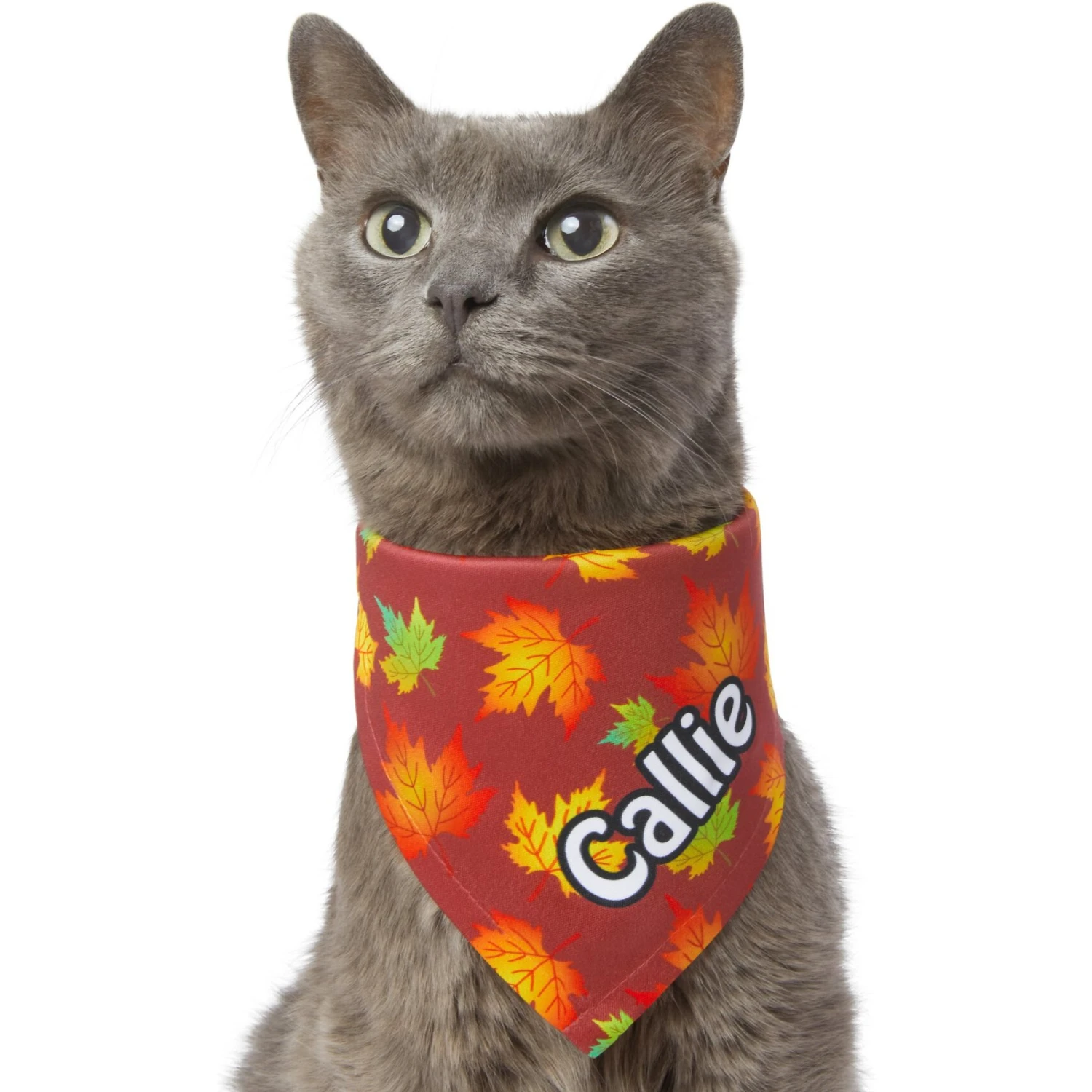 Frisco Fall Leaves Personalized Dog & Cat Bandana - Image 8