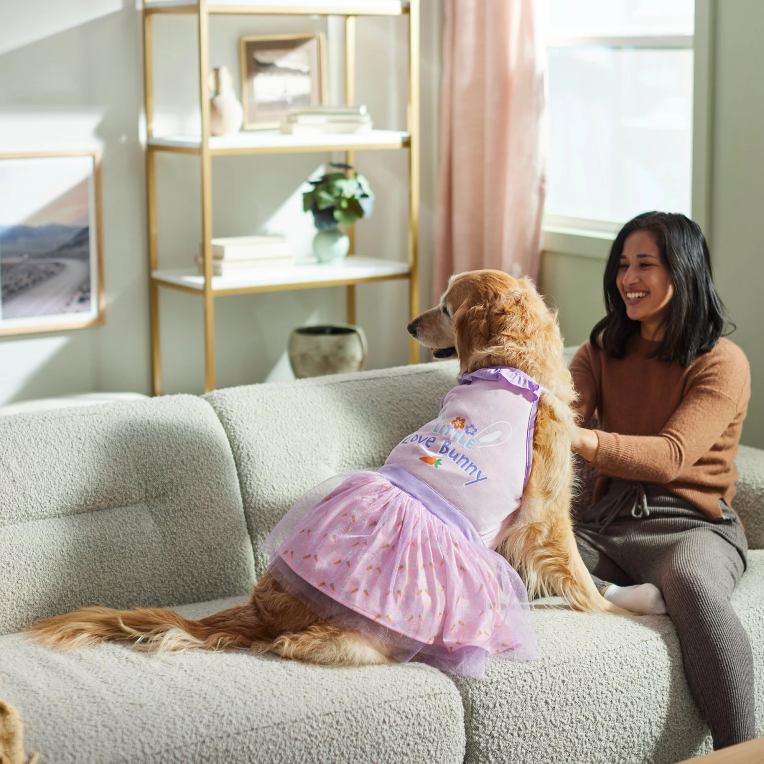 Frisco Love Bunny Dog & Cat Dress - Image 6