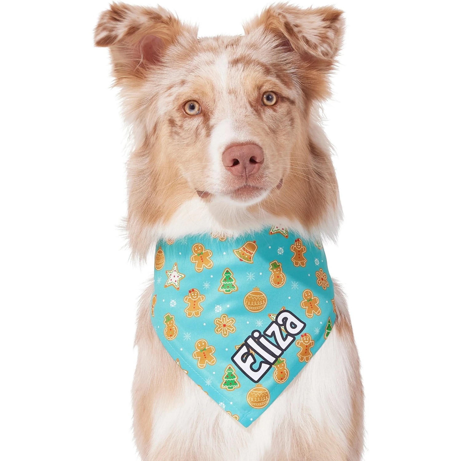 Frisco Gingerbread Cookie Personalized Dog & Cat Bandana - Image 7