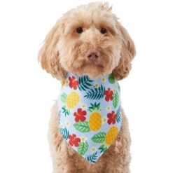 Frisco Hawaiian Pineapple Dog & Cat Bandana