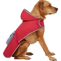 Frisco Lightweight Red Reversible Packable Dog Raincoat