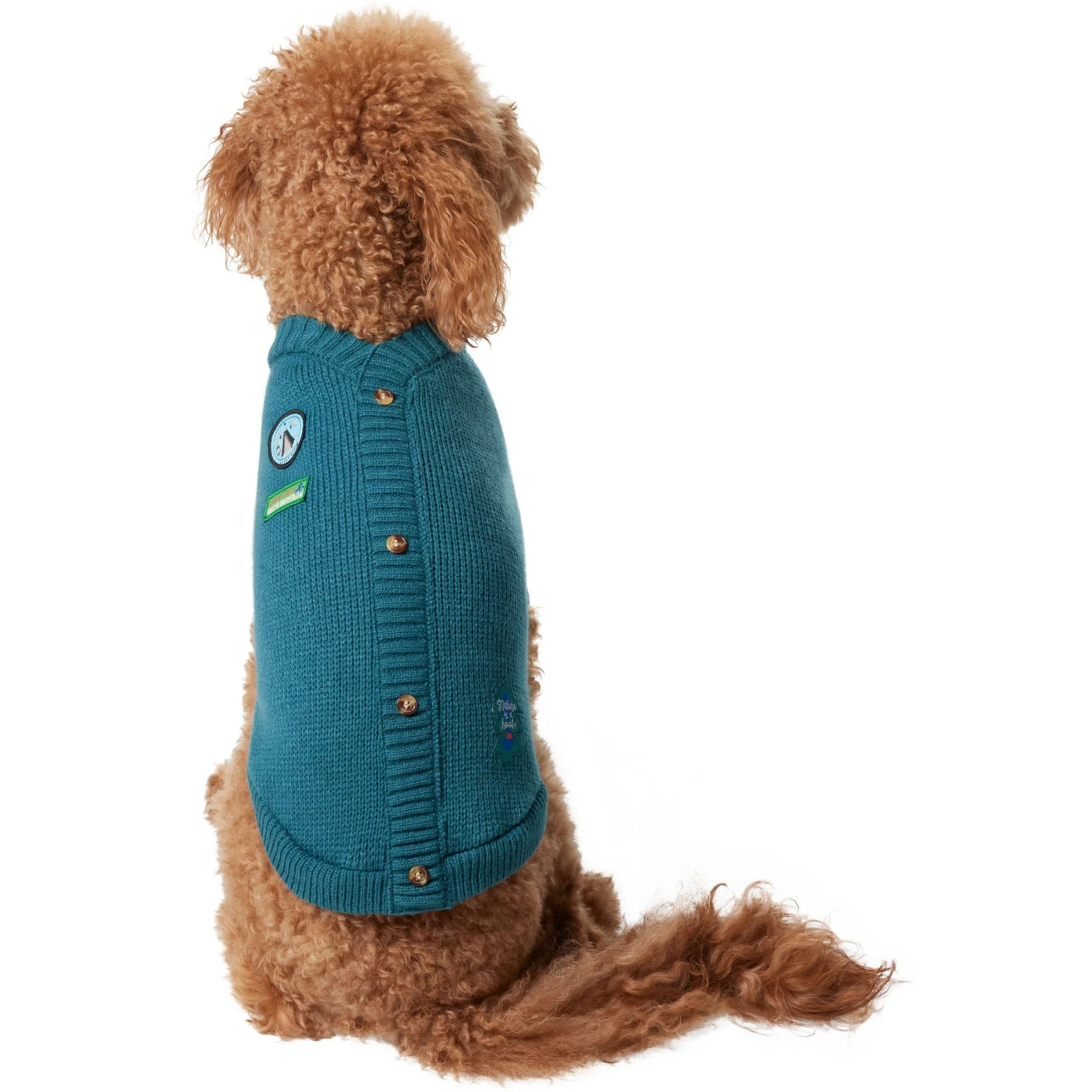 Frisco Teal Button Down Dog & Cat Sweater - Image 3