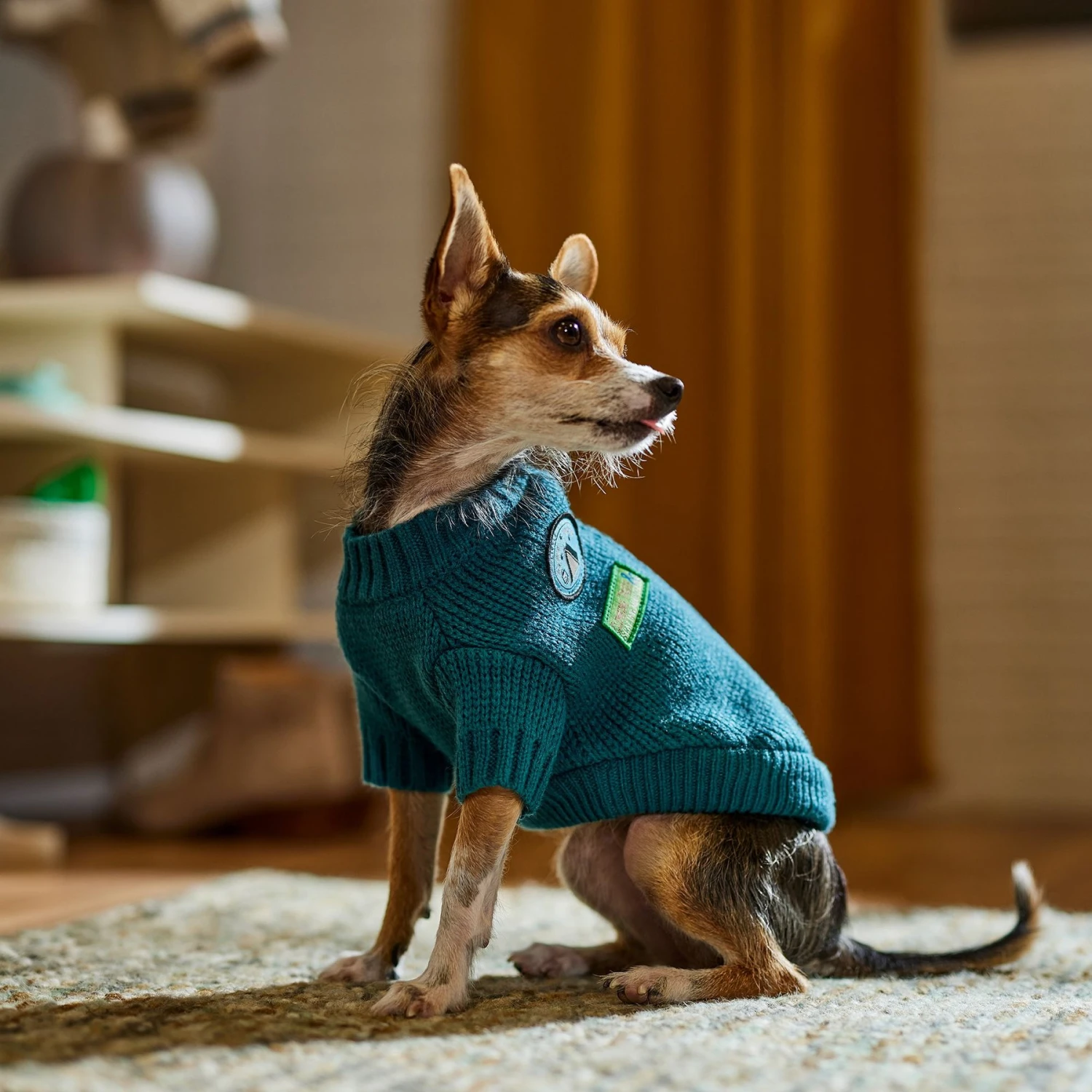 Frisco Teal Button Down Dog & Cat Sweater - Image 6