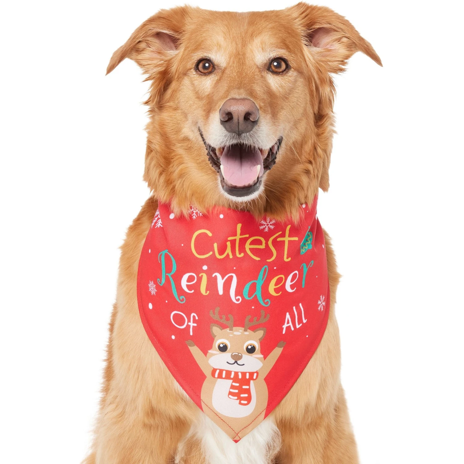 Frisco Cutest Reindeer Of All Dog & Cat Bandana - Image 3