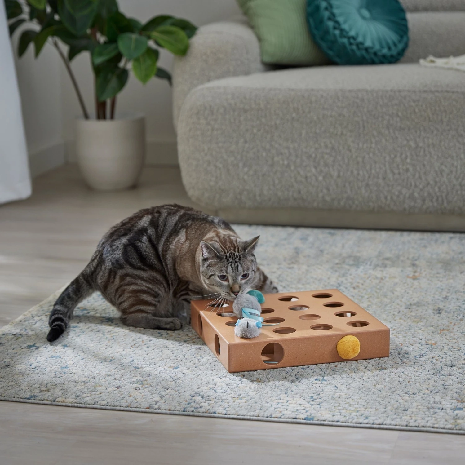 Frisco Interactive Wooden Cat Toy Box With Catnip - Image 4