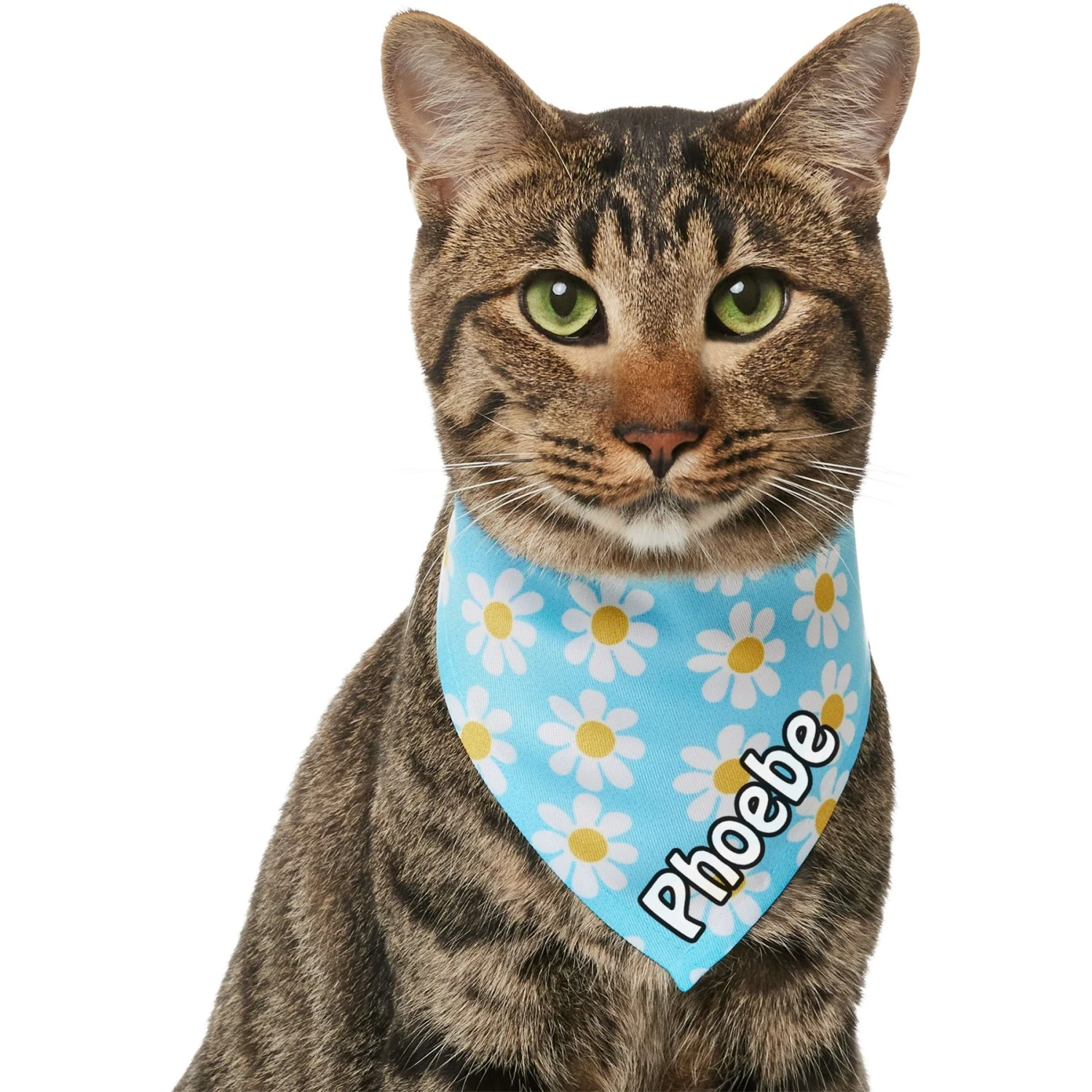 Frisco Personalized Blue Daisy Bandana - Image 7