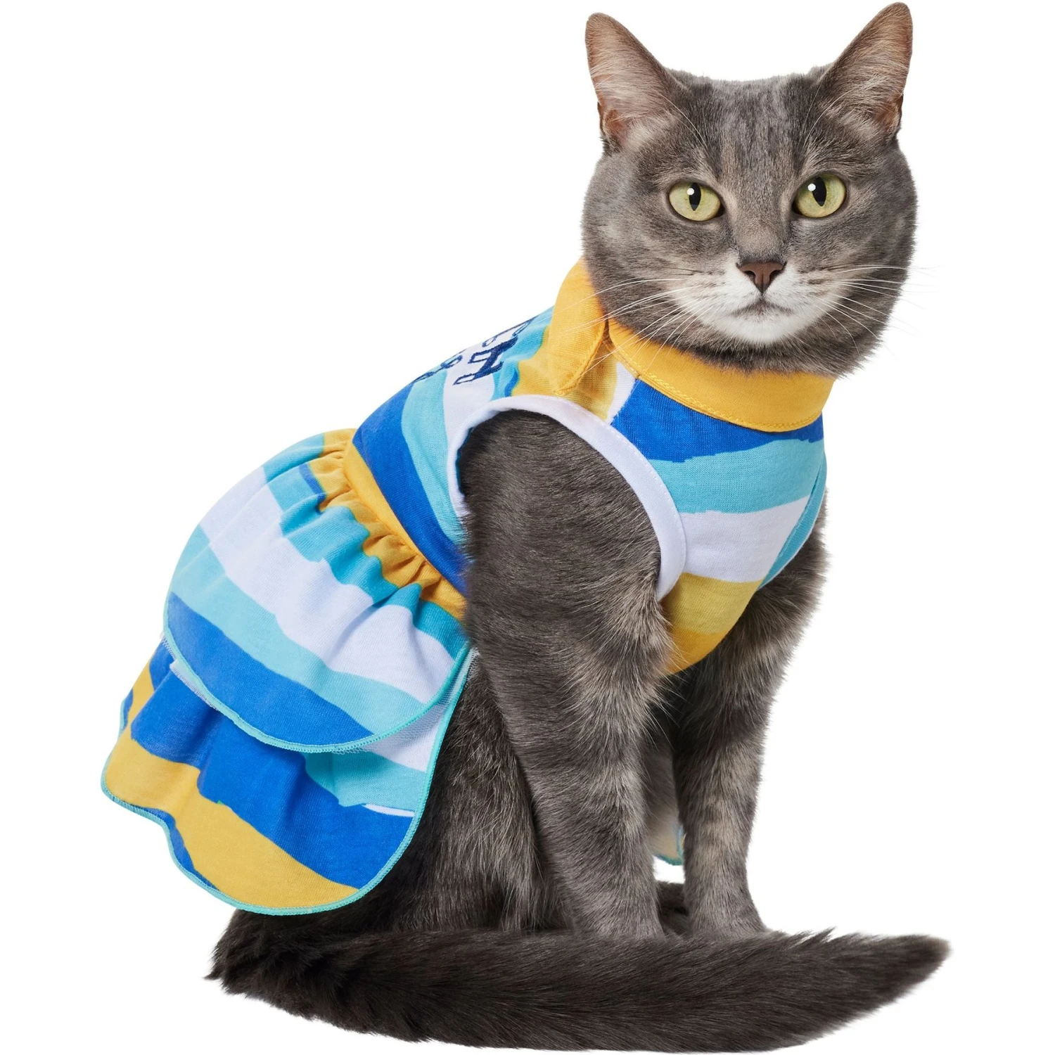 Frisco Beach Vibes Dog & Cat Dress - Image 3