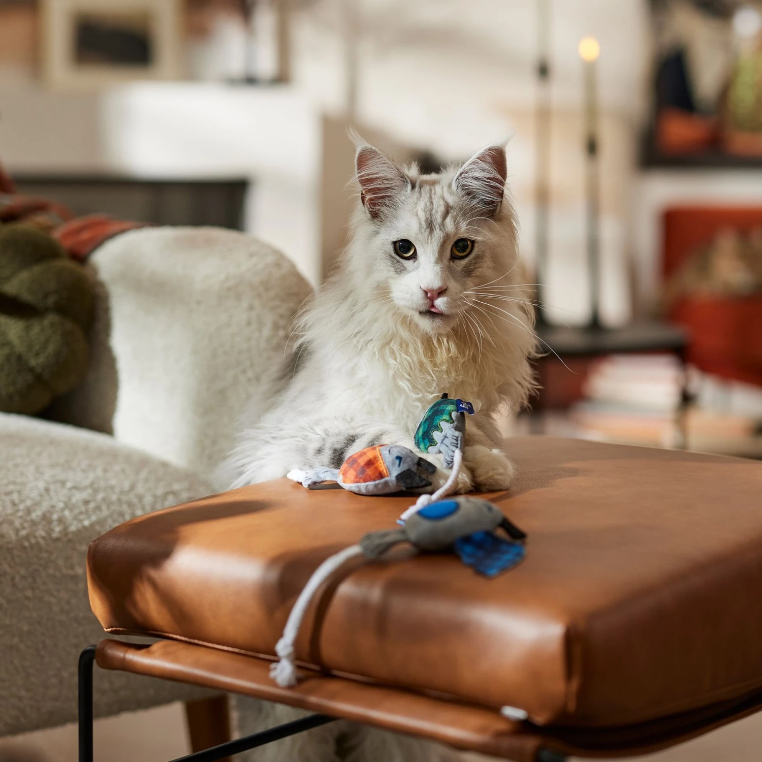 Frisco Halloween Cutie Bats Plush Cat Toy With Catnip - Image 3