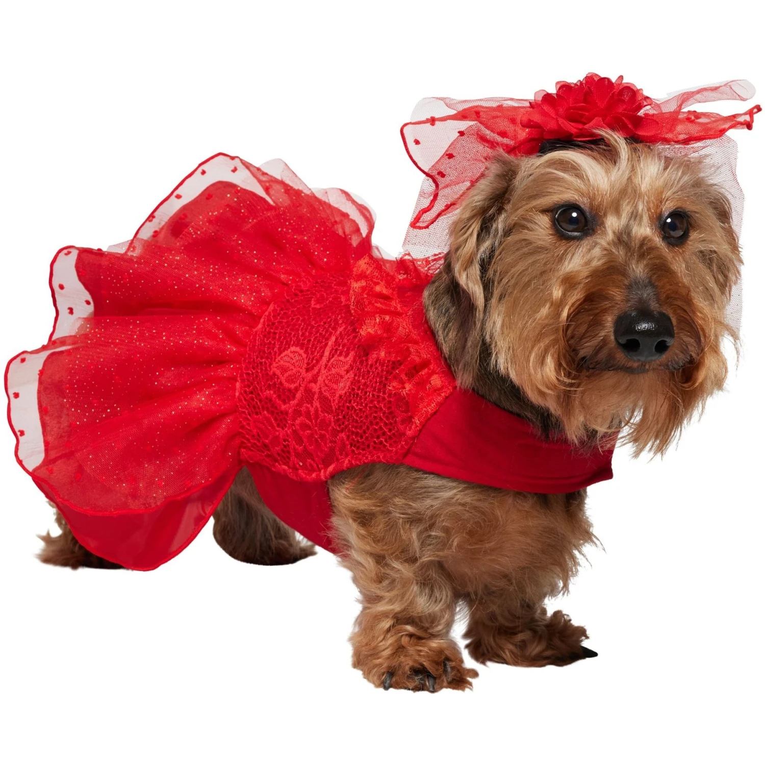 Frisco Red Ruffle Dog & Cat Dress + Headpiece - Image 3