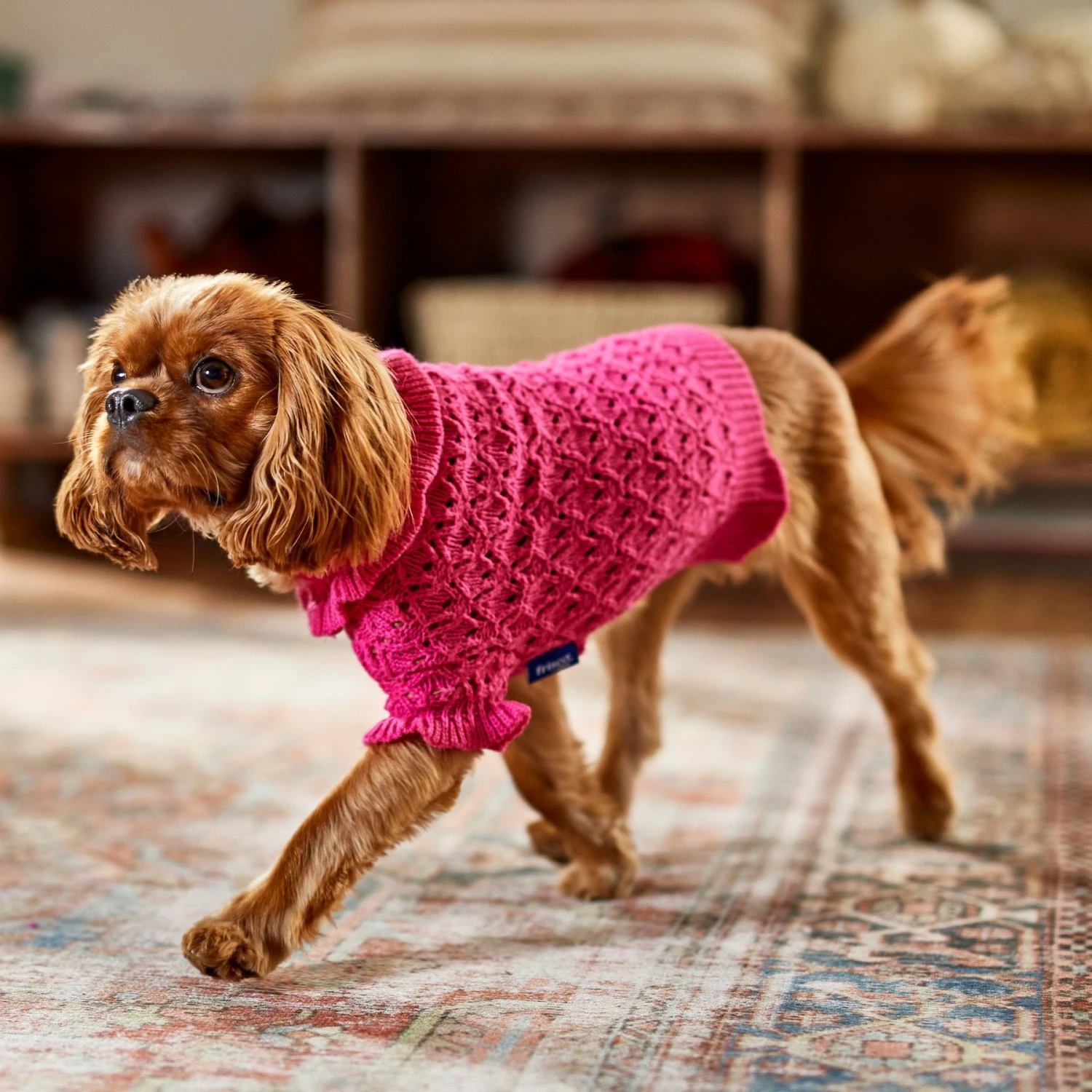 Frisco Ruffle Knit Pointelle Dog & Cat Turtleneck Sweater - Image 7