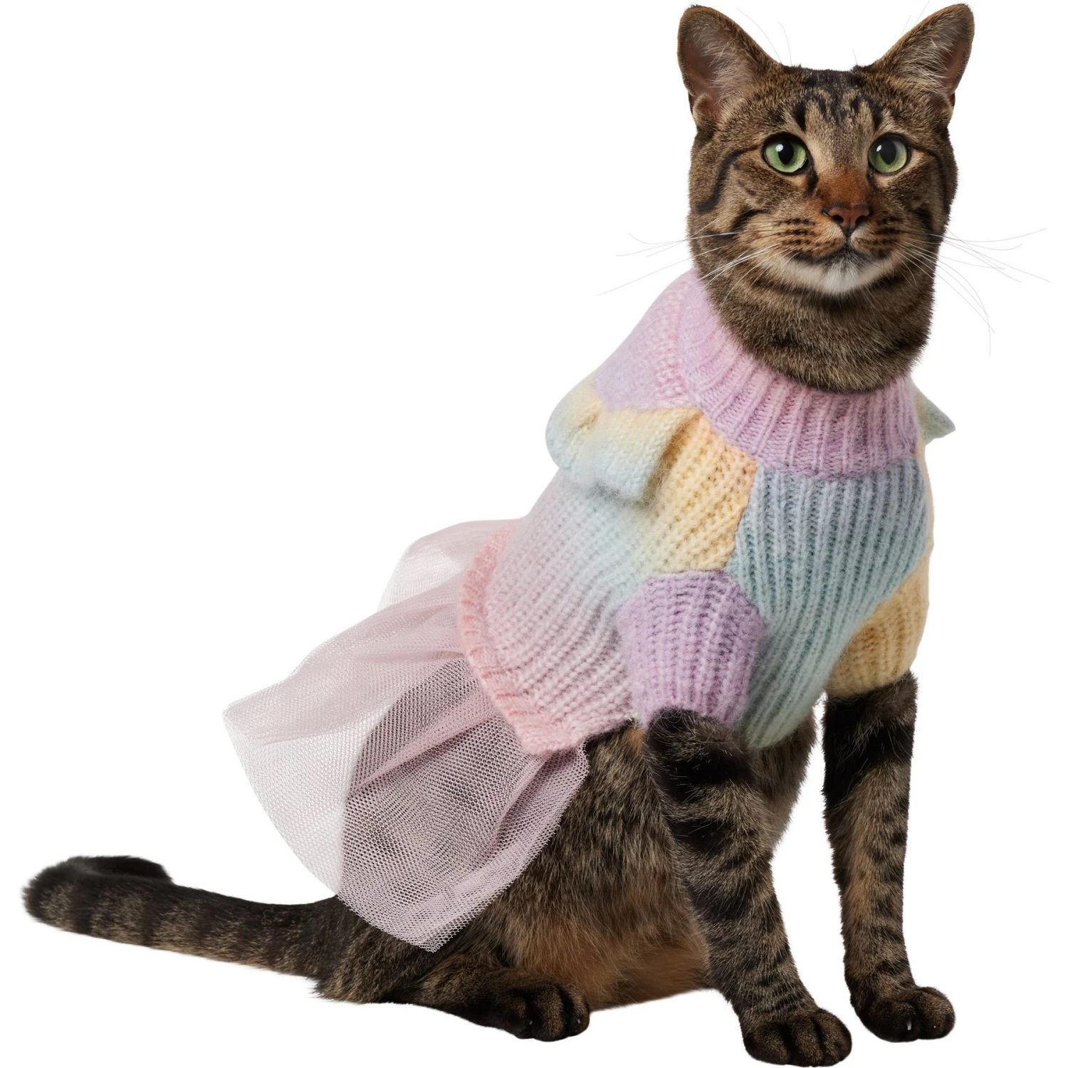 Frisco Rainbow Dog & Cat Sweater Dress