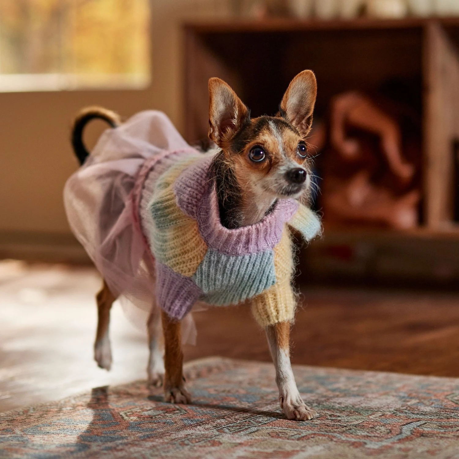 Frisco Rainbow Dog & Cat Sweater Dress - Image 7