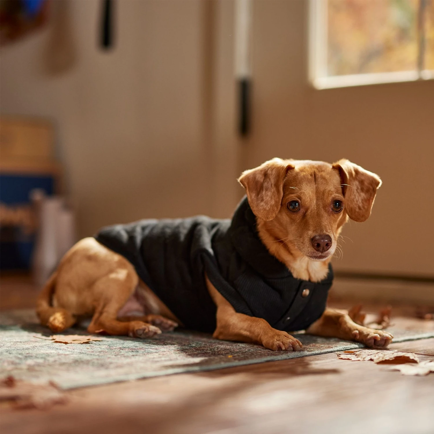 Frisco Quilted Fleece Dog & Cat Pullover Hoodie - Image 8