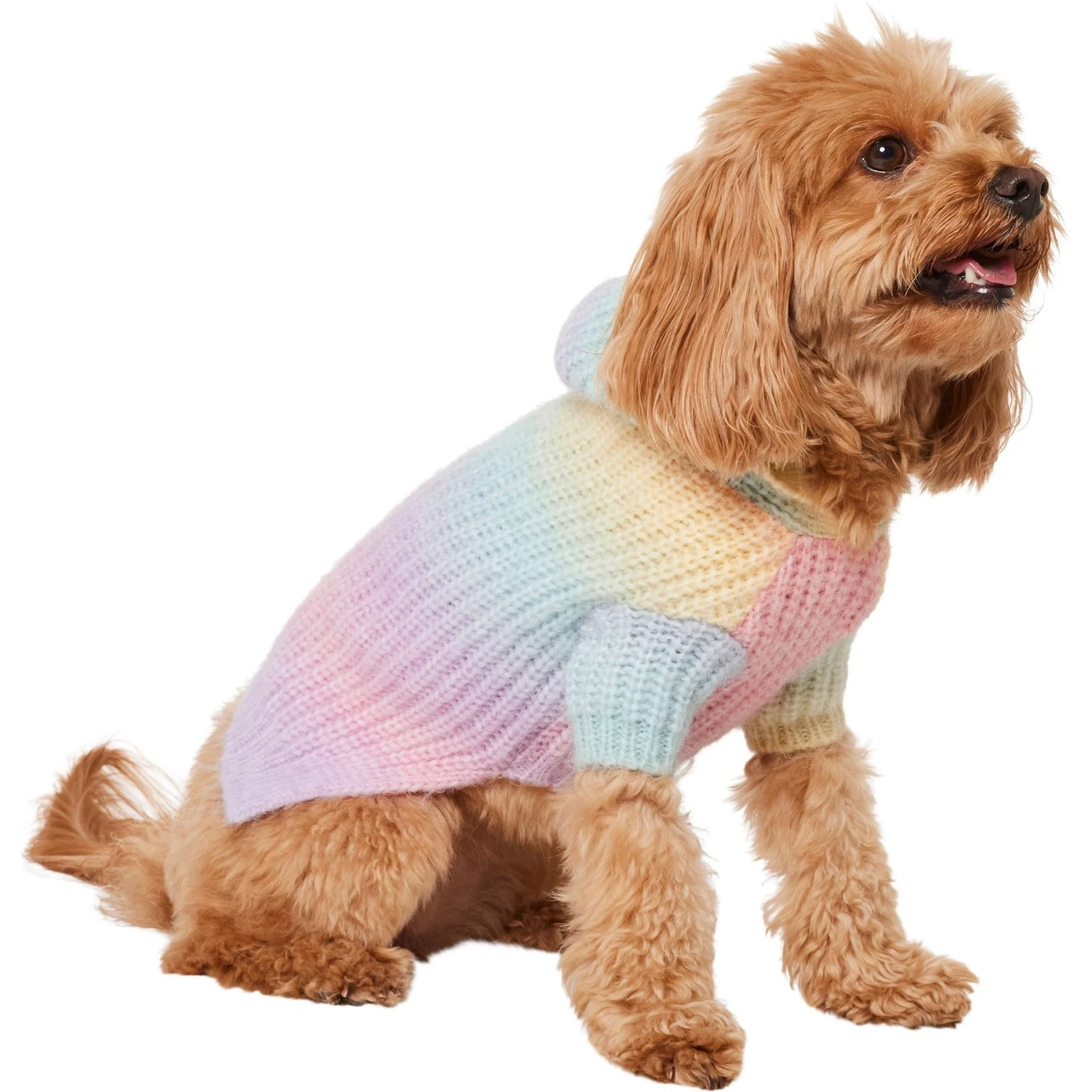 Frisco Soft Multi Stripe Ombre Dog & Cat Hooded Sweater - Image 3