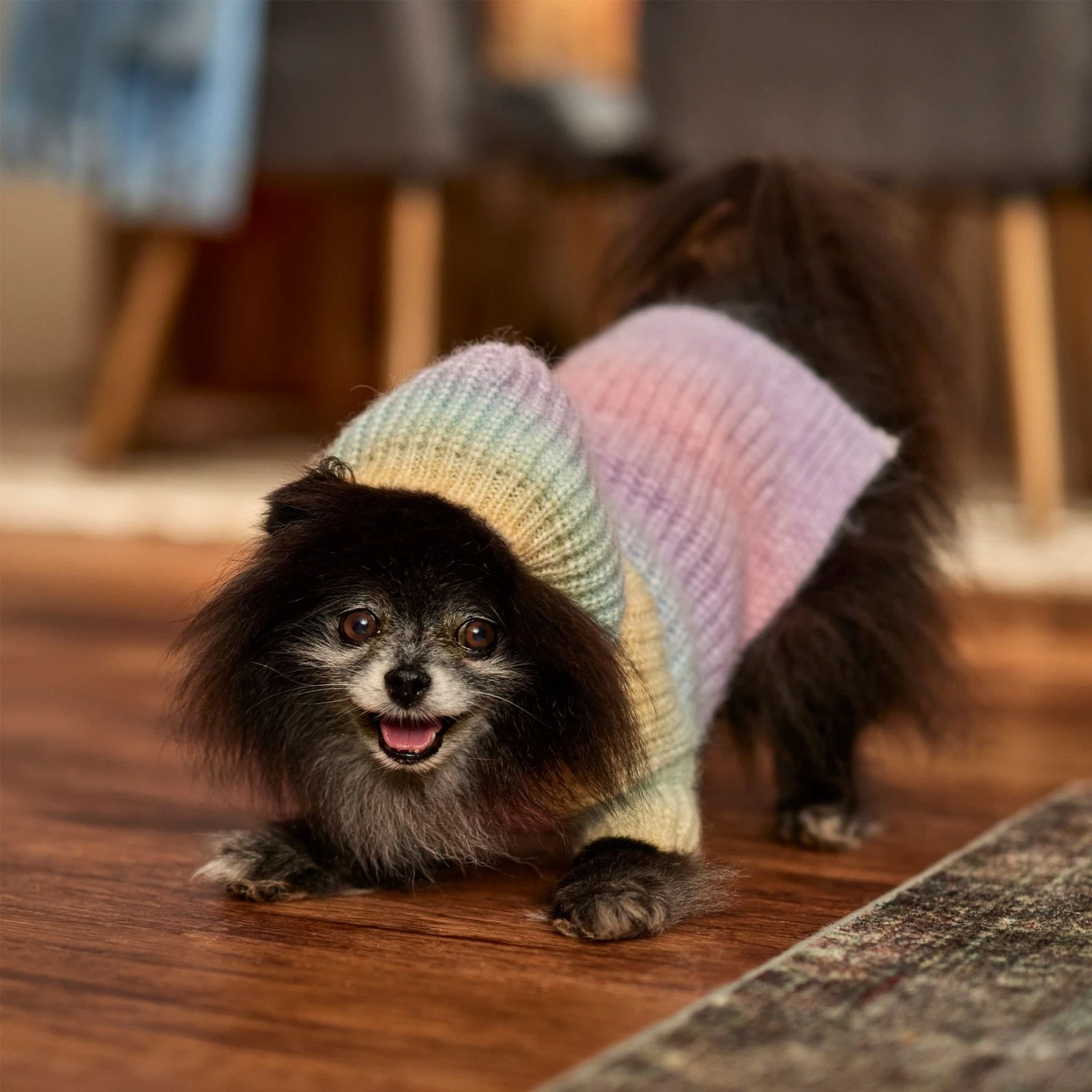 Frisco Soft Multi Stripe Ombre Dog & Cat Hooded Sweater - Image 7