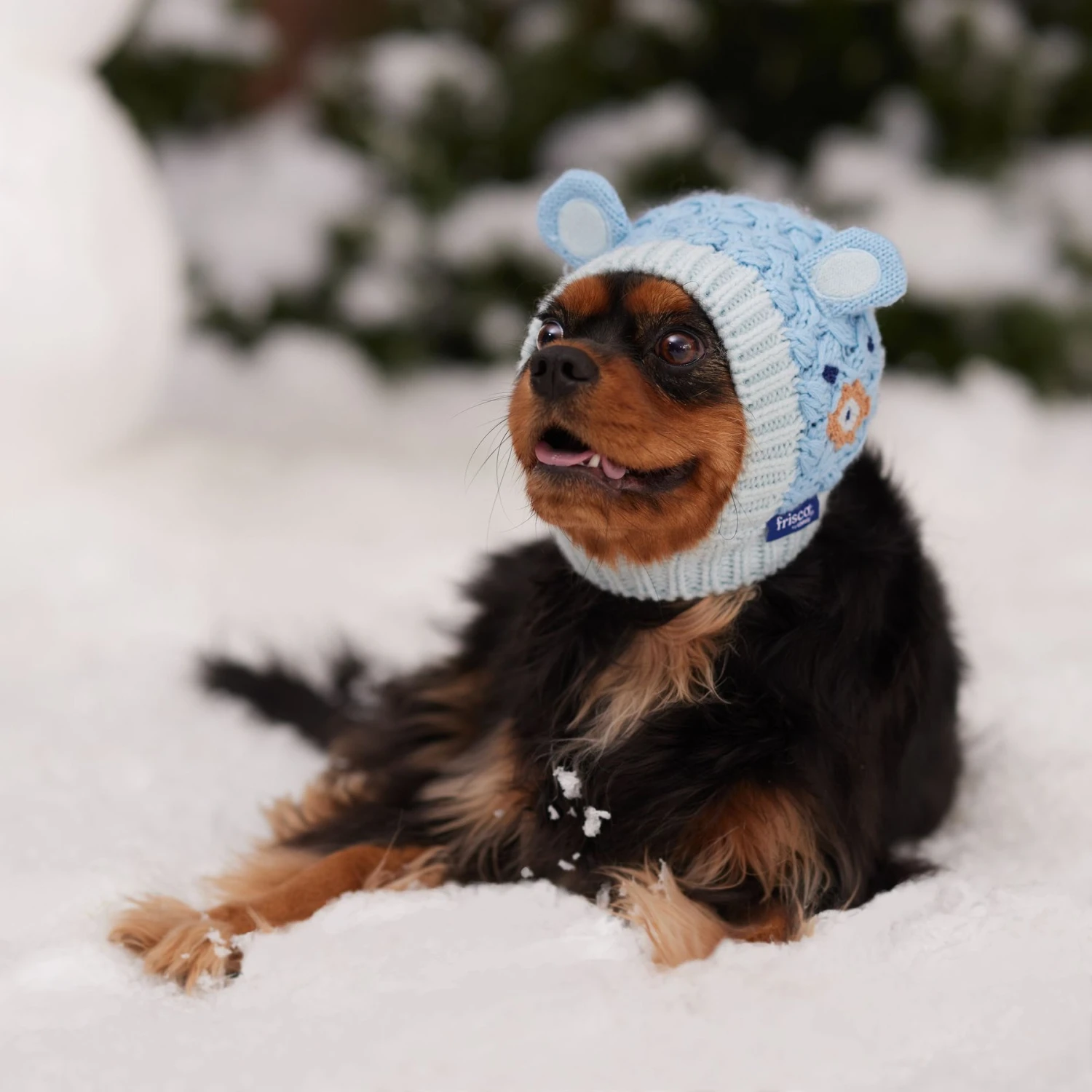 Frisco Nordic Ears Sweater Knit Dog & Cat Hat - Image 6